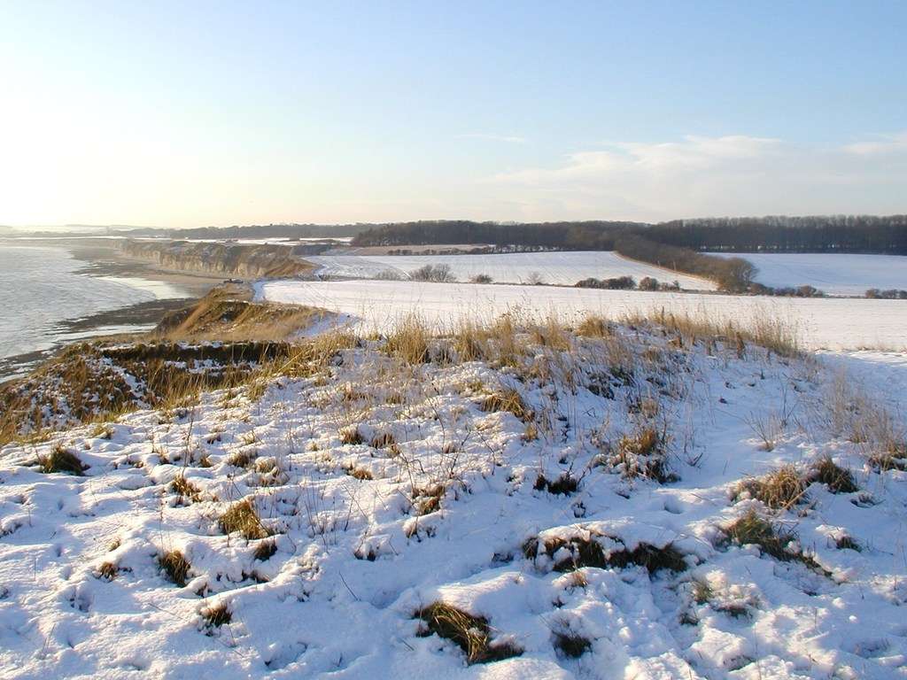 View from Beacon Hill