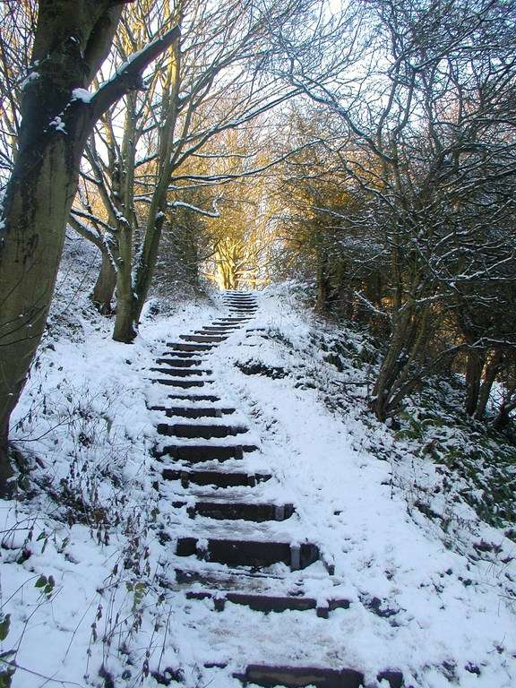 Snowy Steps